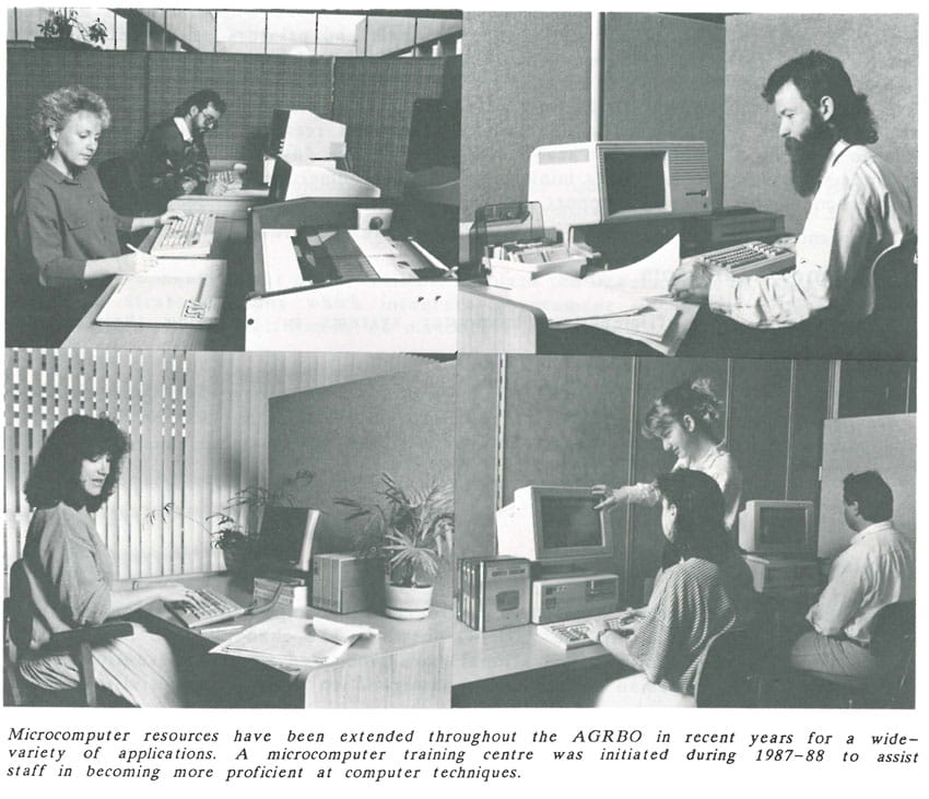 CSC Staff working on computers