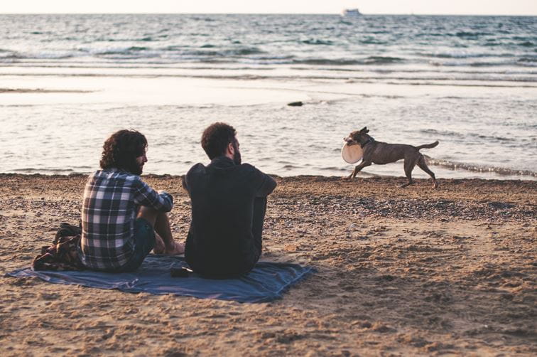 Men on a beach with a dog