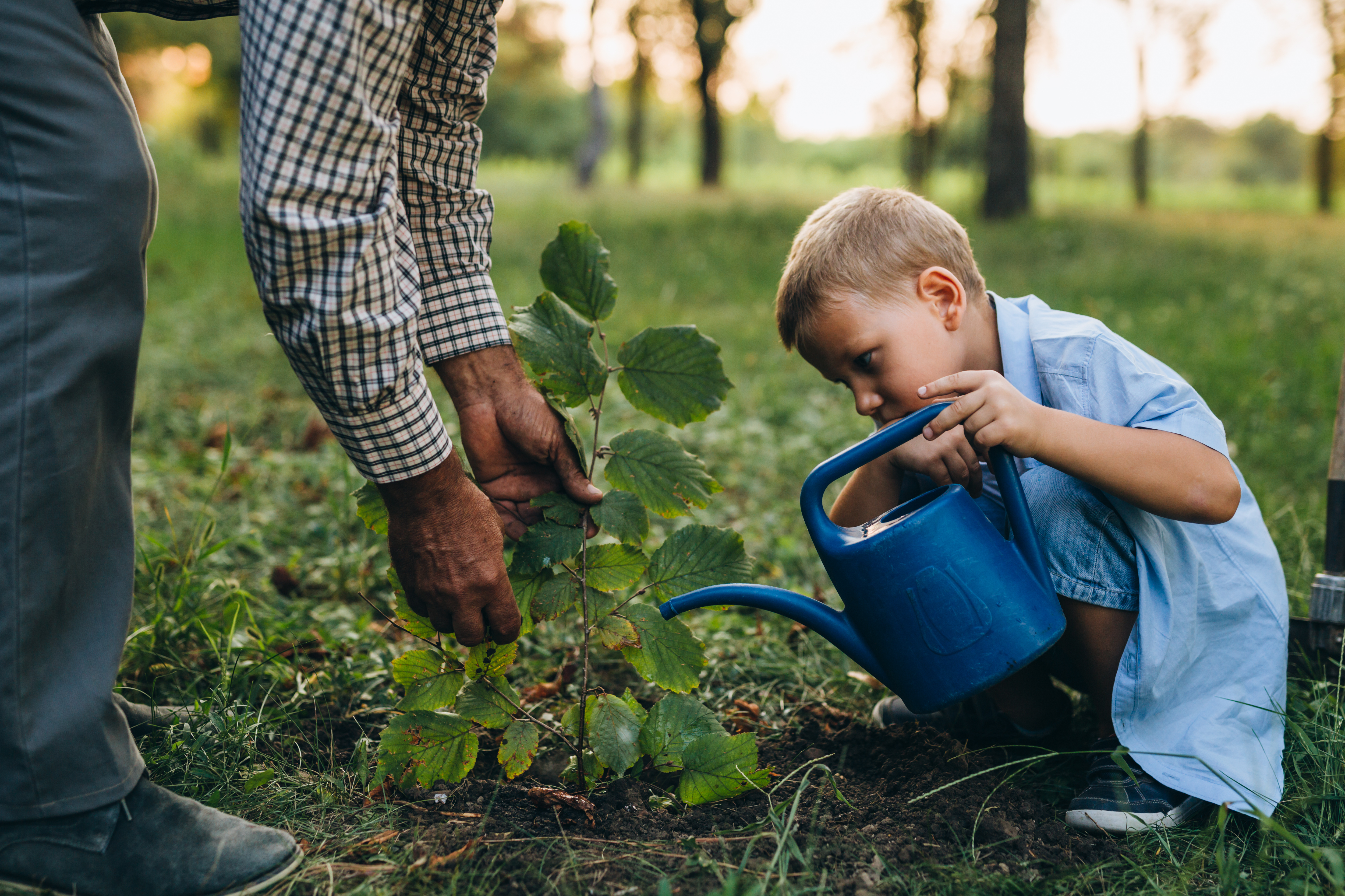 Young boy watering a plant